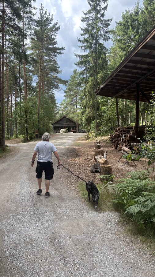 Weg durch den Hätteboda Naturcampingplatz, vorbei am Holzschuppen