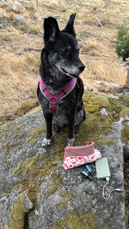 Lucy sitzt auf einem großen Stein neben Reisetasche, Ölen und Powerbank