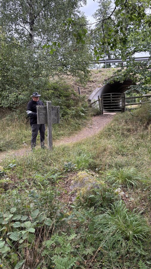 Johannes liest ein Wegweiser-Schild vor einem Tunnel-Tor im bewölkten Wald
