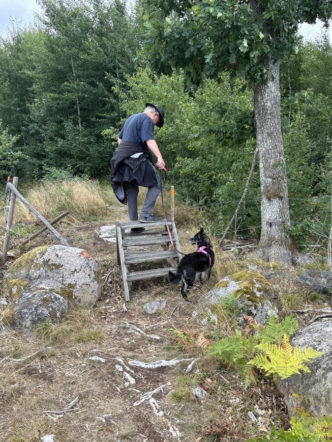 Johannes und Lucy überqueren eine kleine Steg-Treppe über einen Zaun