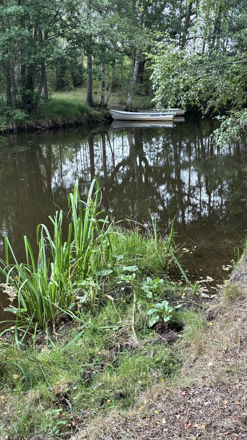 Zwei Ruderboote auf einem stillen Teich, umgeben von Bäumen
