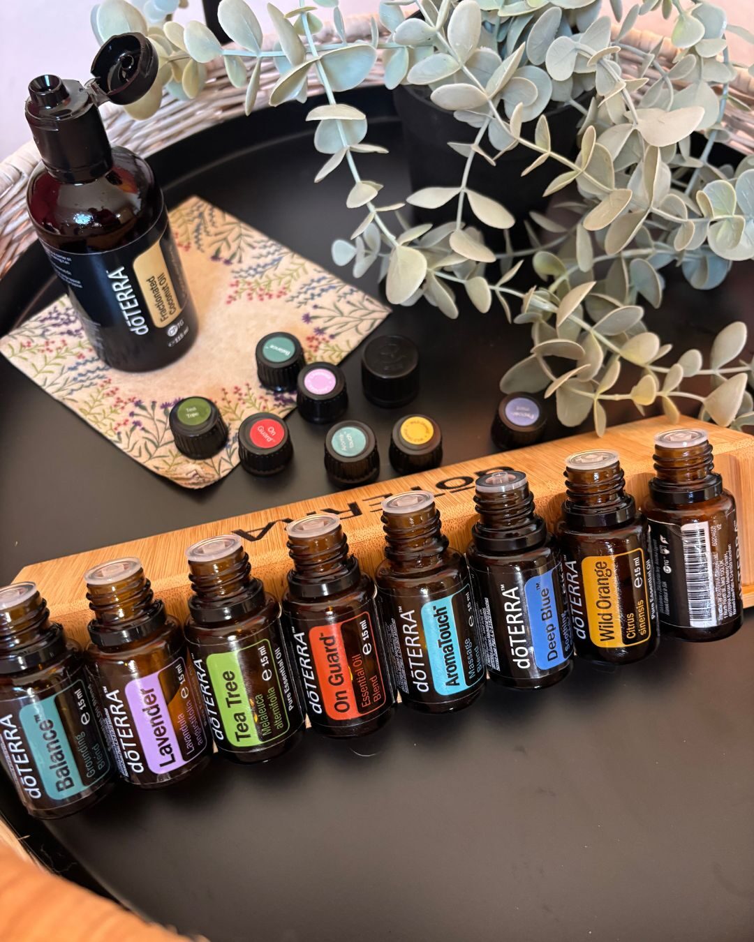 dōTERRA Home-Essentials-Set mit Eukalyptuszweig
